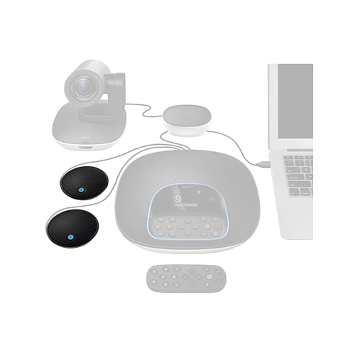 GROUP EXPANSION MICS 1