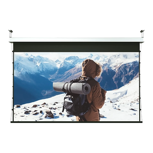 INCEILING BIG LODO EVOLUTION