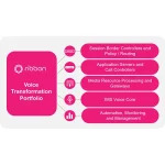 Metaswitch Replacement-5