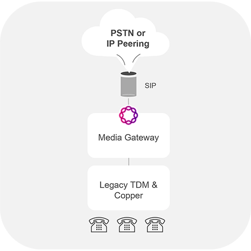 Metaswitch Replacement-5